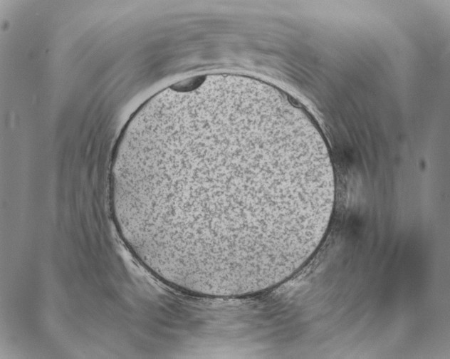 X0000087061534200705091148