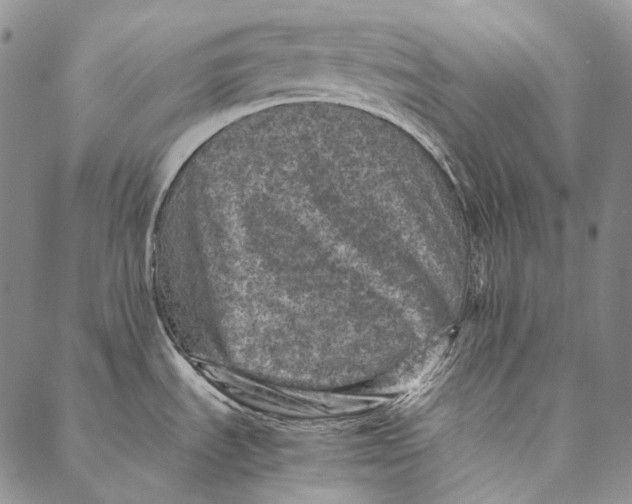 X0000087061535200705091148