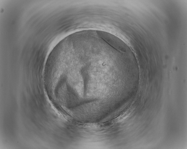 X0000087061536200705091148