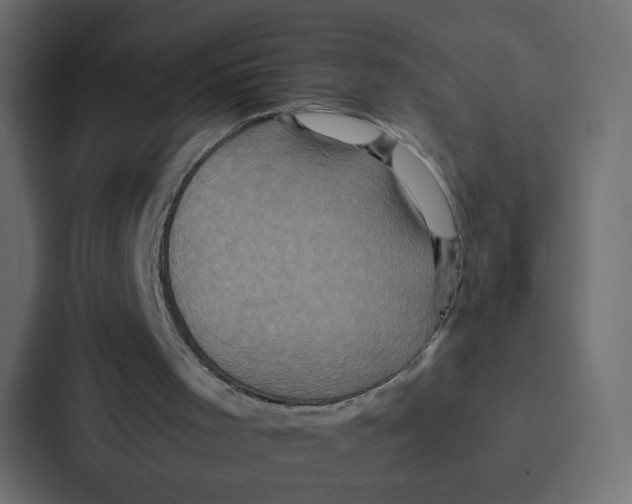 X0000087060001200705161021