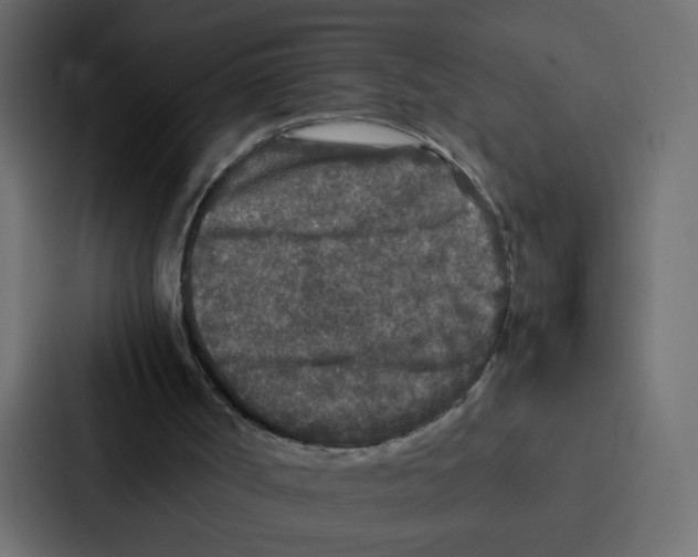 X0000087060002200705161021