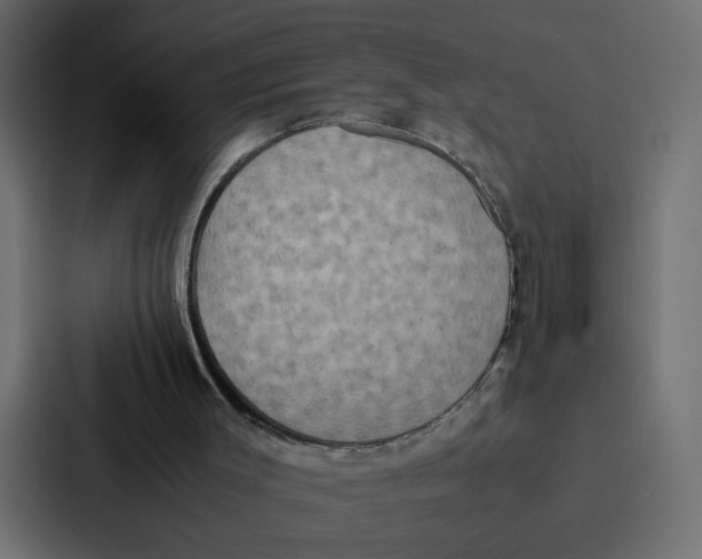 X0000087060003200705161021