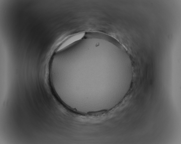 X0000087060005200705161021