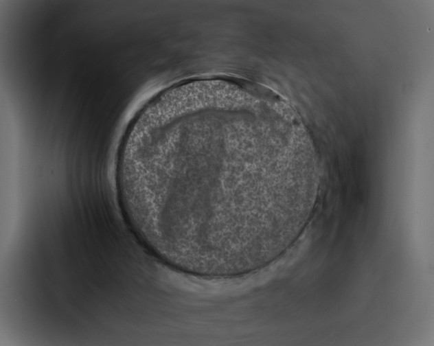 X0000087060006200705161021