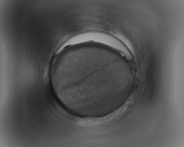 X0000087060009200705161021