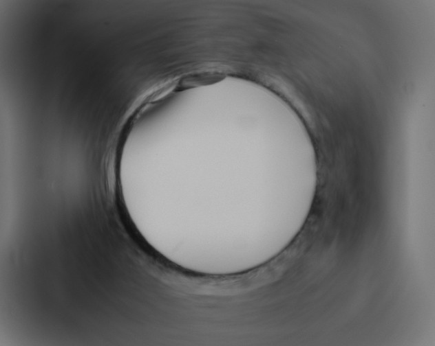 X0000087060011200705161021