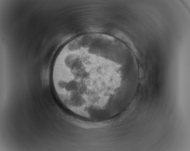 X0000087060012200705161021