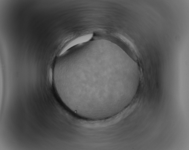 X0000087060013200705161021