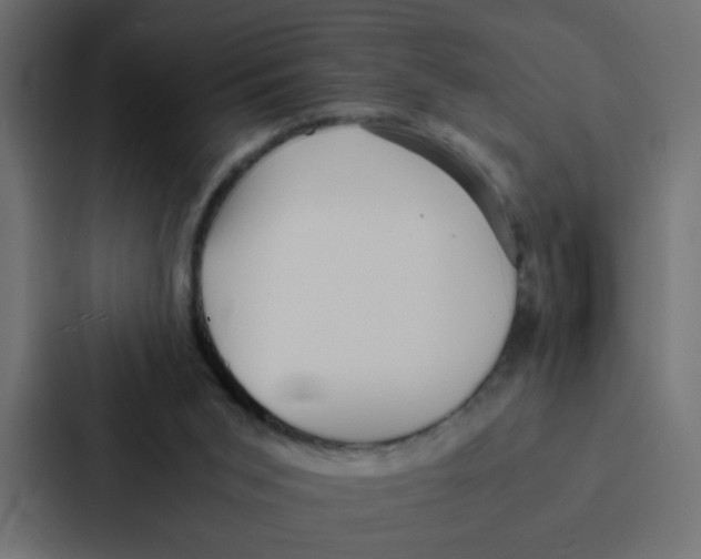 X0000087060015200705161021