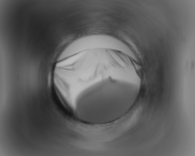 X0000087060019200705161021