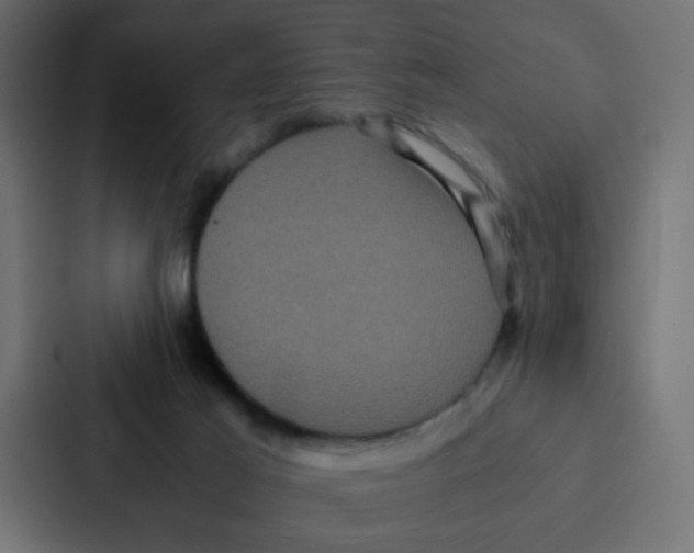 X0000087060021200705161021