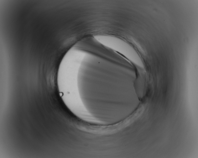 X0000087060023200705161021