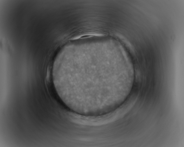 X0000087060026200705161021