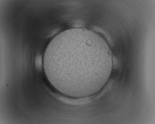 X0000087060028200705161021