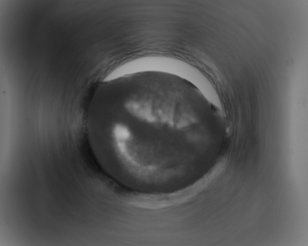 X0000087060029200705161021