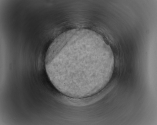 X0000087060030200705161021