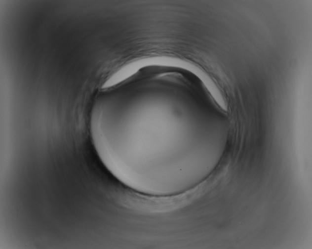 X0000087060031200705161021