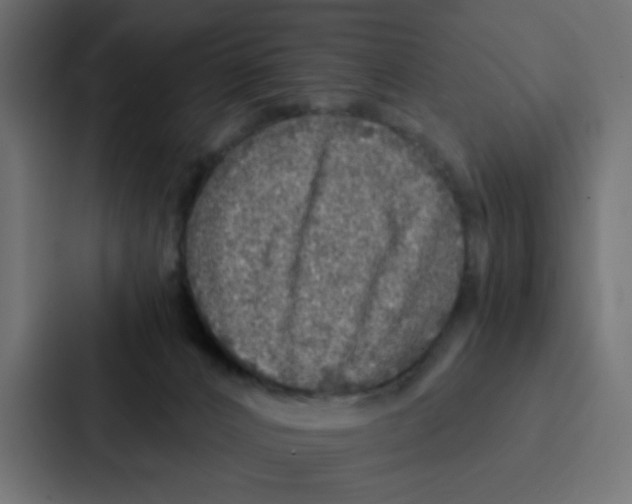 X0000087060032200705161021