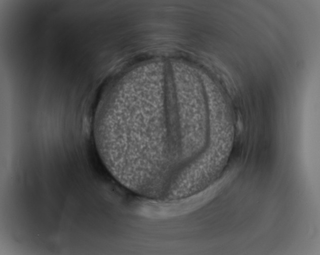 X0000087060033200705161021