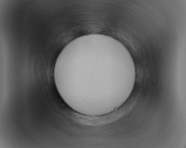 X0000087060034200705161021