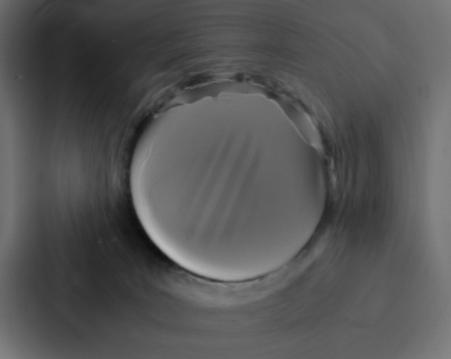 X0000087060035200705161021