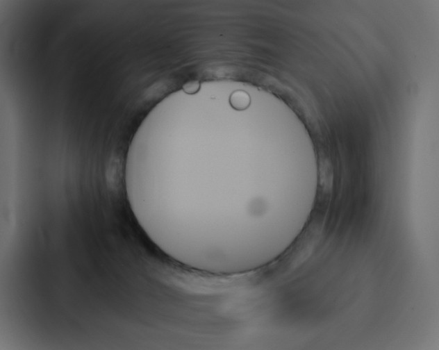 X0000087060036200705161021