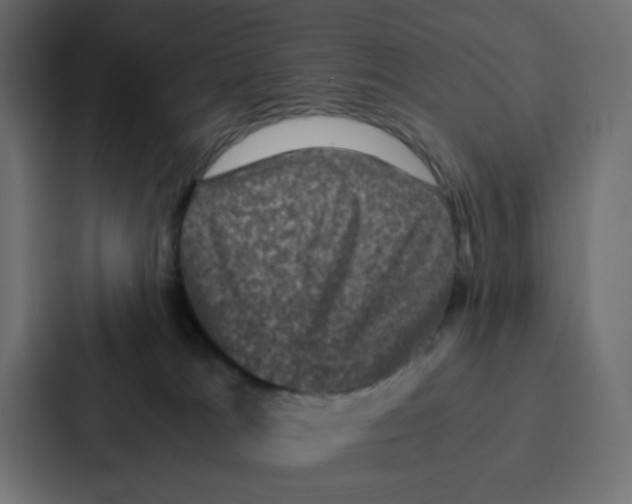 X0000087060037200705161021