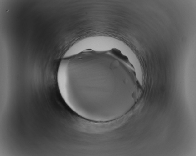 X0000087060039200705161021