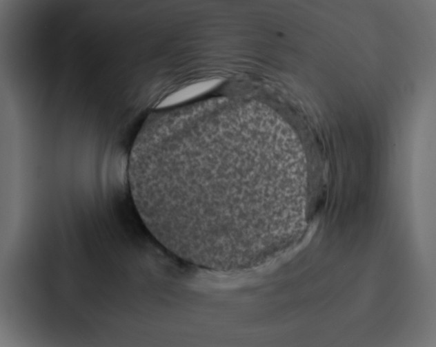 X0000087060041200705161021