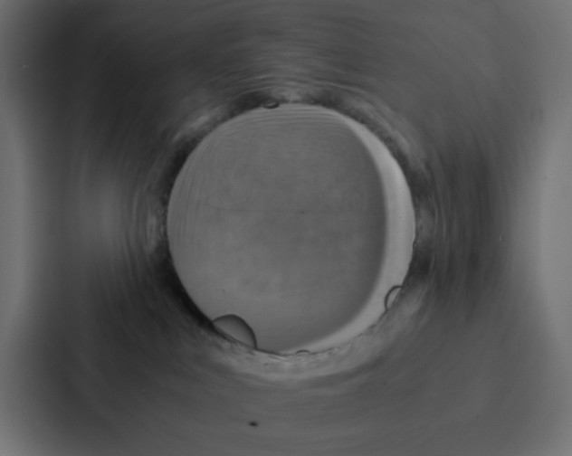 X0000087060043200705161021