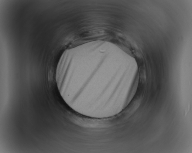 X0000087060044200705161021