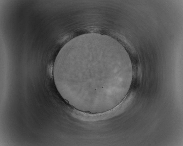 X0000087060047200705161021