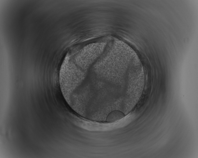 X0000087060048200705161021