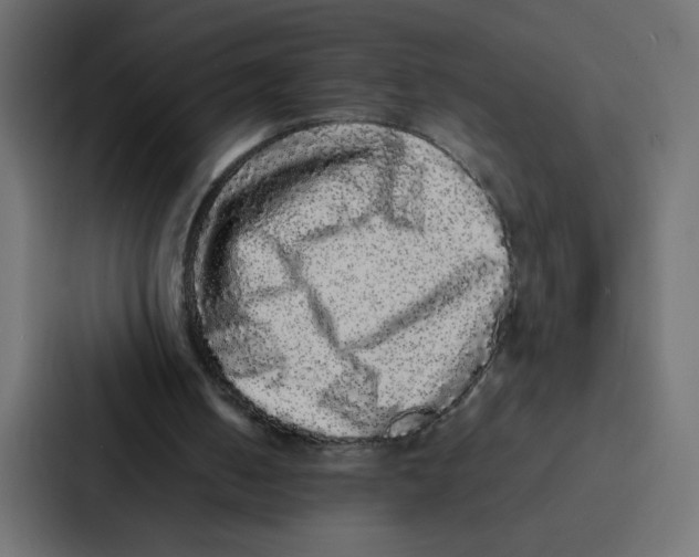 X0000087060050200705161020