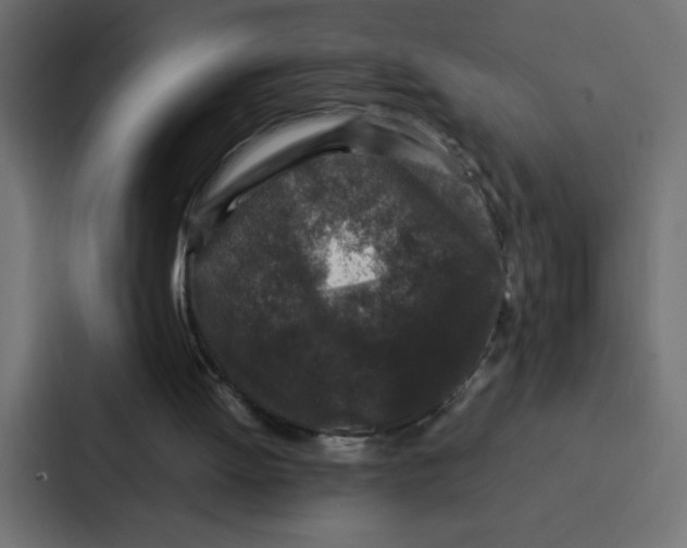 X0000087060052200705161020