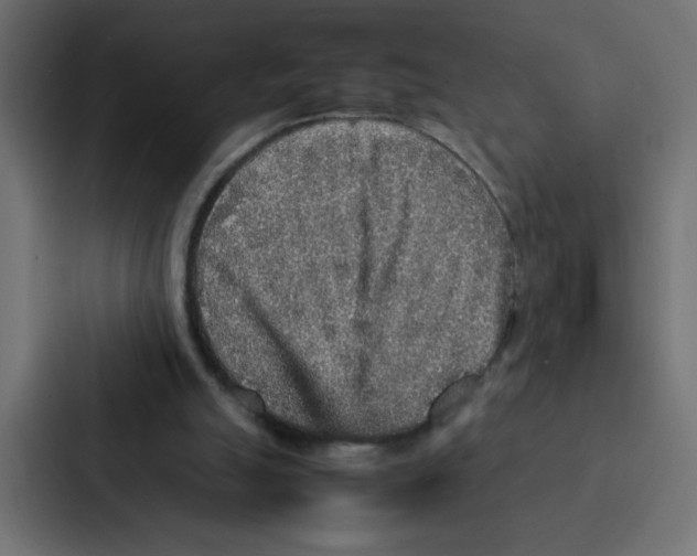 X0000087060055200705161020