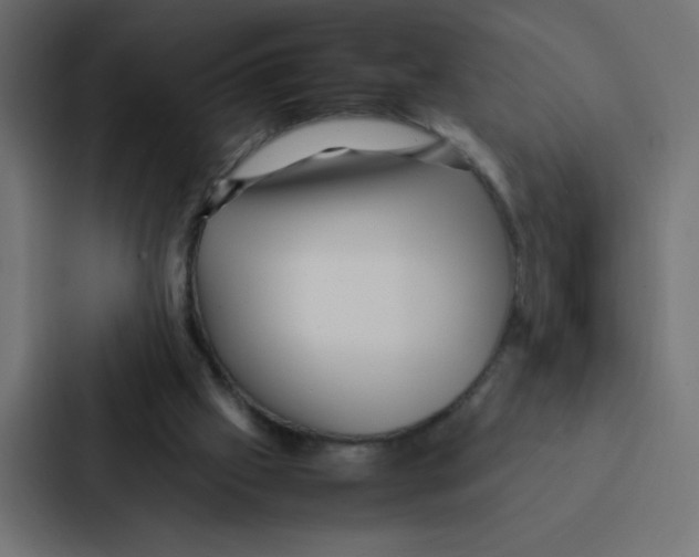 X0000087060057200705161020