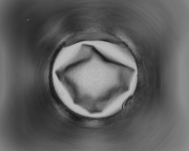 X0000087060058200705161020