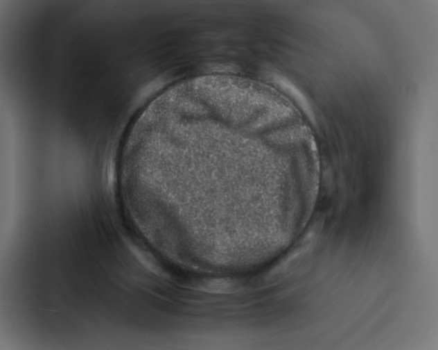 X0000087060059200705161020