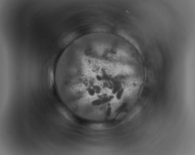 X0000087060061200705161020