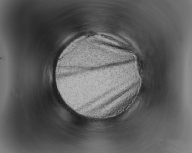 X0000087060062200705161020