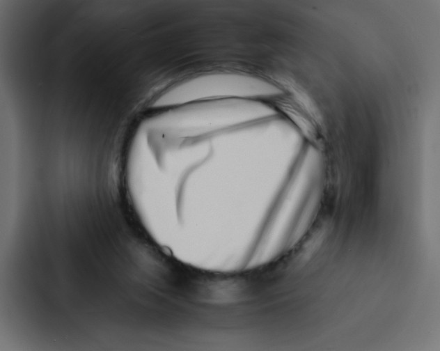 X0000087060063200705161020