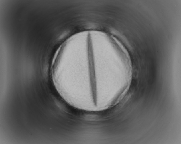 X0000087060066200705161020