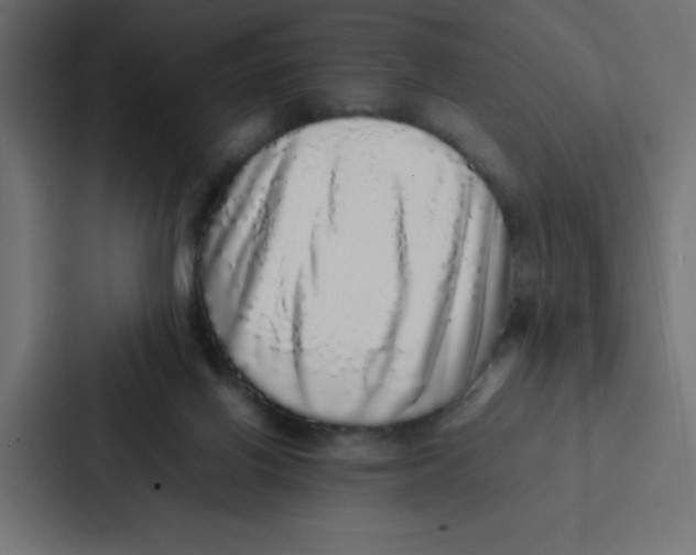 X0000087060070200705161020