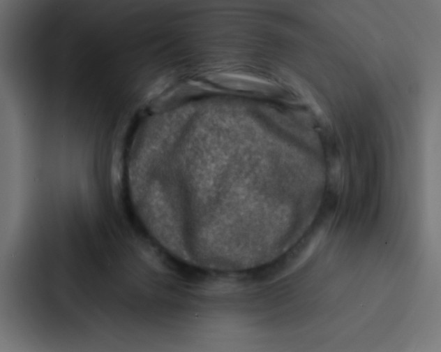 X0000087060072200705161020