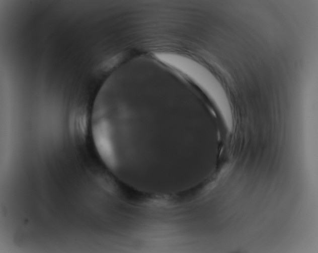 X0000087060076200705161020