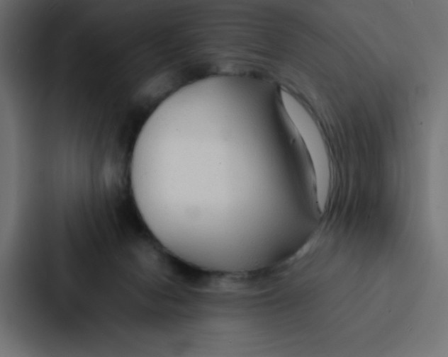 X0000087060078200705161020