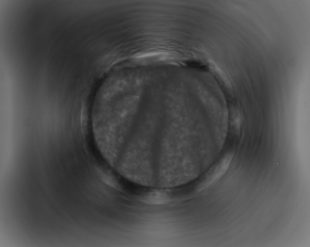 X0000087060080200705161020