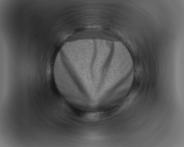 X0000087060084200705161021