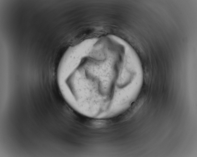 X0000087060085200705161021